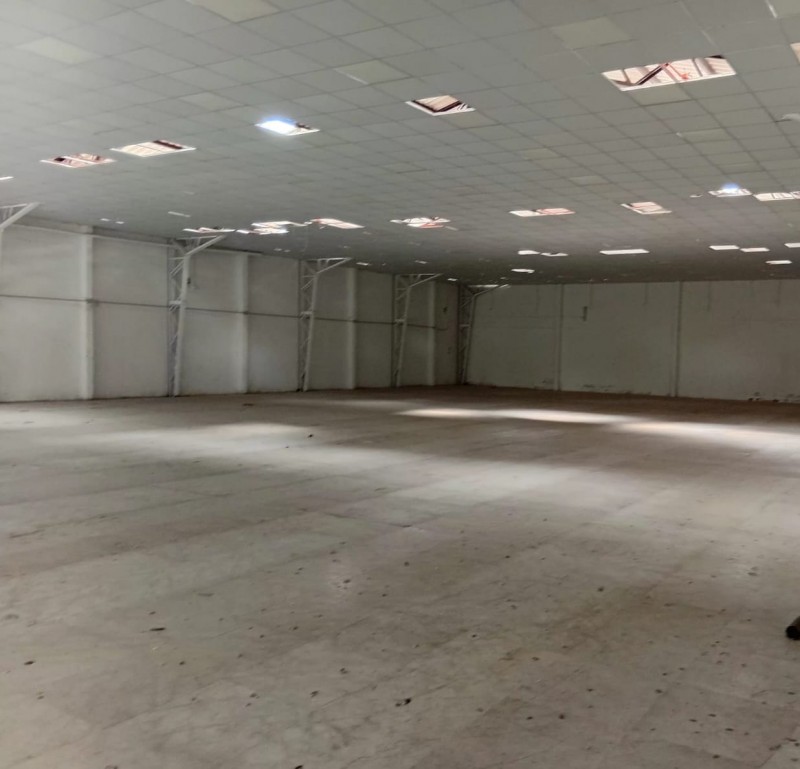 Exclusivo Local Comercial y Galpón en Avenida Balmaceda