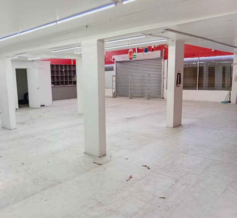 Exclusivo Local Comercial y Galpón en Avenida Balmaceda