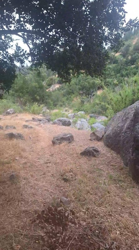 Se Vende Campo 53 Hectáreas