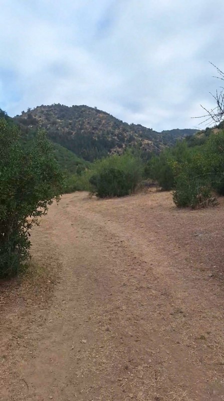 Se Vende Campo 53 Hectáreas