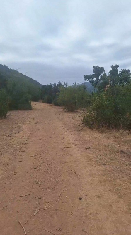 Se Vende Campo 53 Hectáreas