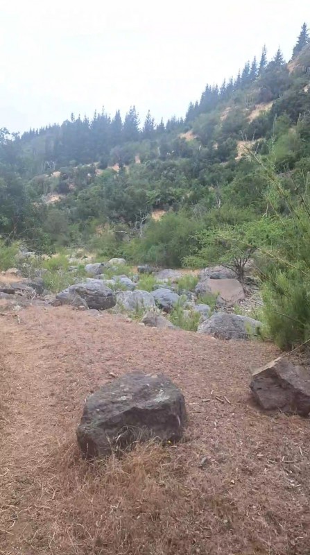 Se Vende Campo 53 Hectáreas