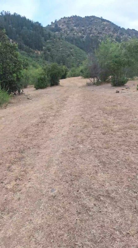 Se Vende Campo 53 Hectáreas