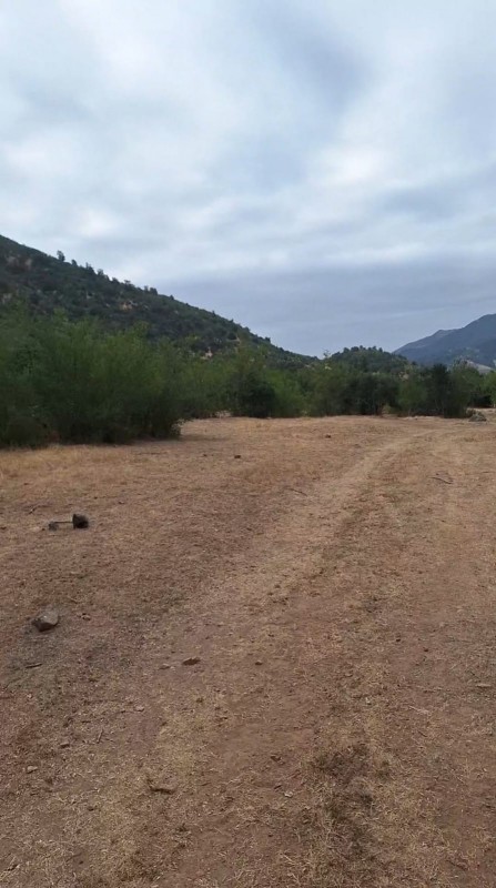 Se Vende Campo 53 Hectáreas