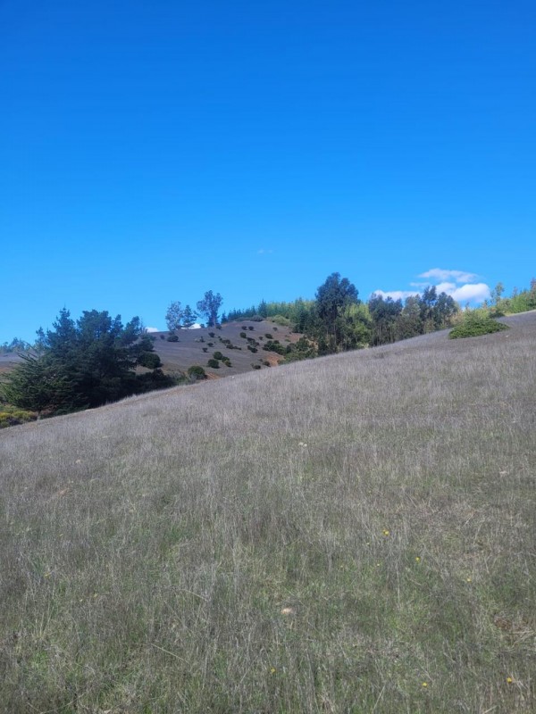 ¡inversión Inmobiliaria en el Valle de Paredones!