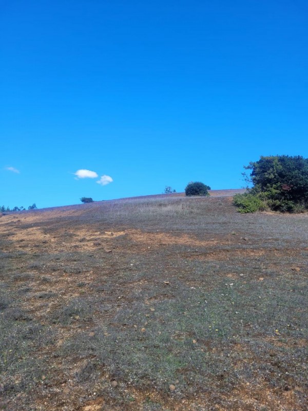 ¡inversión Inmobiliaria en el Valle de Paredones!