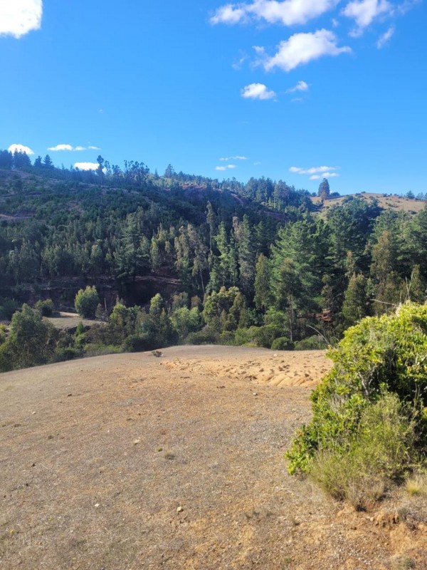 ¡inversión Inmobiliaria en el Valle de Paredones!