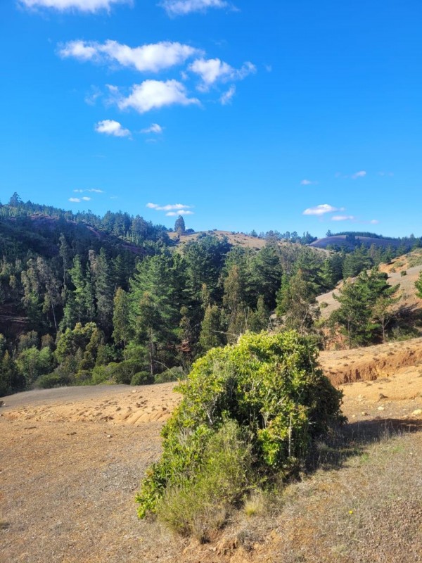 ¡inversión Inmobiliaria en el Valle de Paredones!