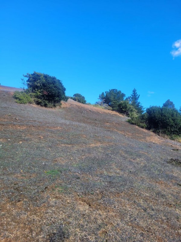 ¡inversión Inmobiliaria en el Valle de Paredones!