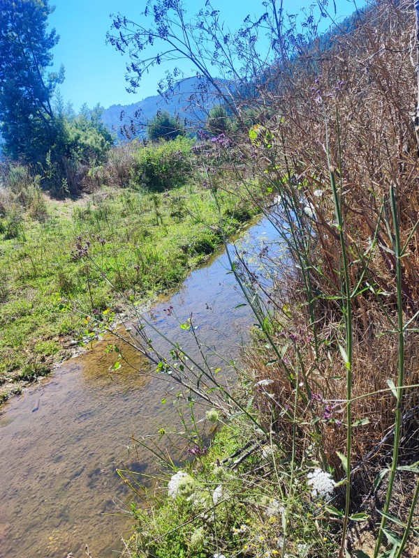 Se Vende Excelente Vega Ubicada en Talcamavida, Cobquecura.