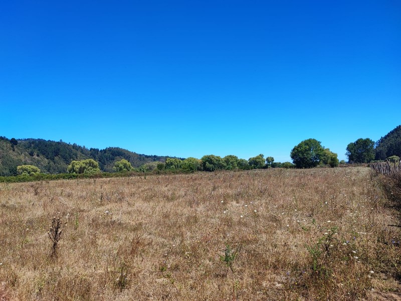 Se Vende Excelente Vega Ubicada en Talcamavida, Cobquecura.