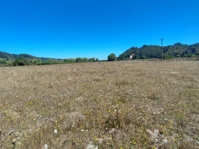 Se Vende Excelente Vega Ubicada en Talcamavida, Cobquecura.