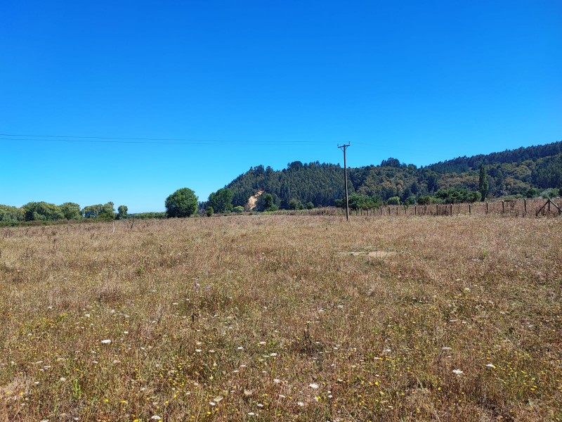 Se Vende Excelente Vega Ubicada en Talcamavida, Cobquecura.