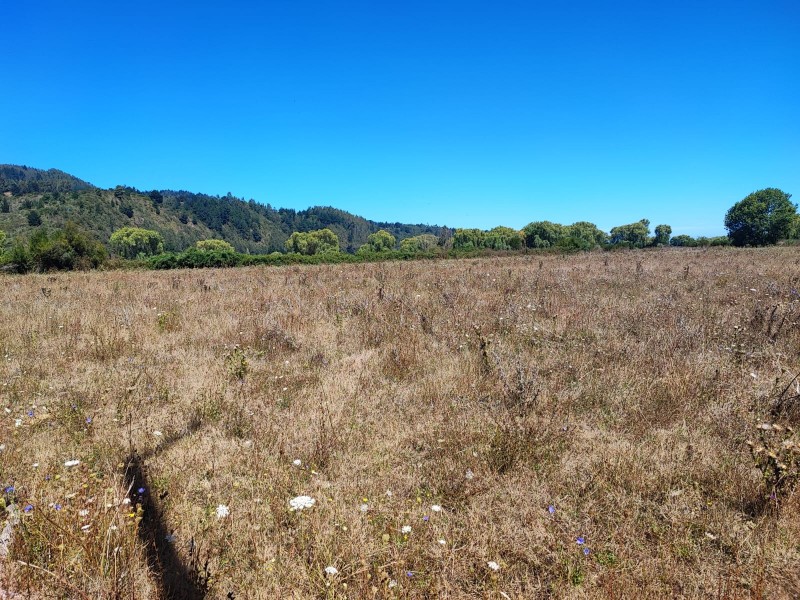 Se Vende Excelente Vega Ubicada en Talcamavida, Cobquecura.