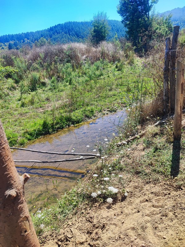 Se Vende Excelente Vega Ubicada en Talcamavida, Cobquecura.