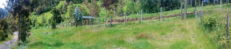 Terreno A 5 Minutos de Lago Ranco