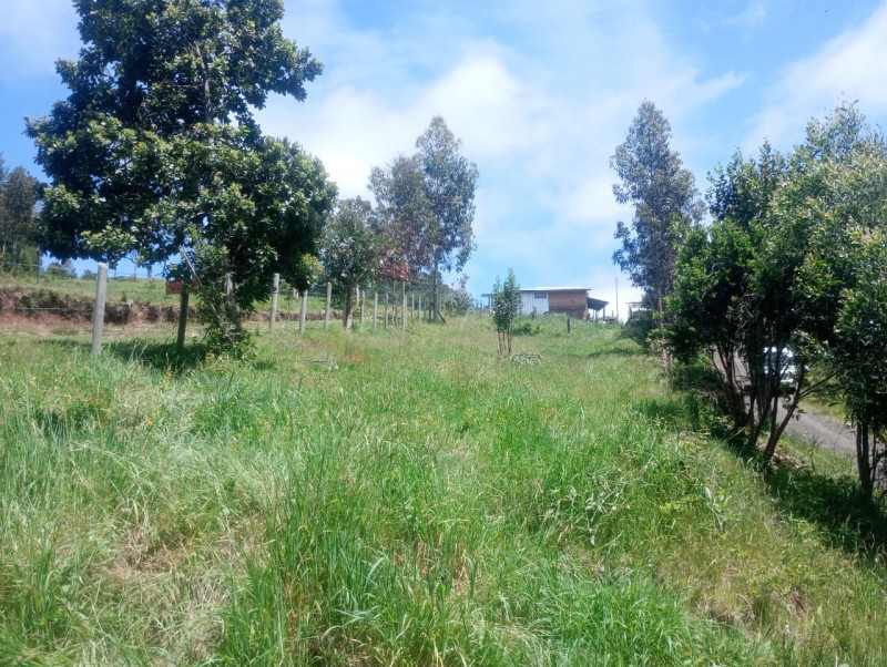 Terreno A 5 Minutos de Lago Ranco