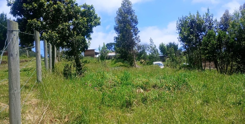 Terreno A 5 Minutos de Lago Ranco