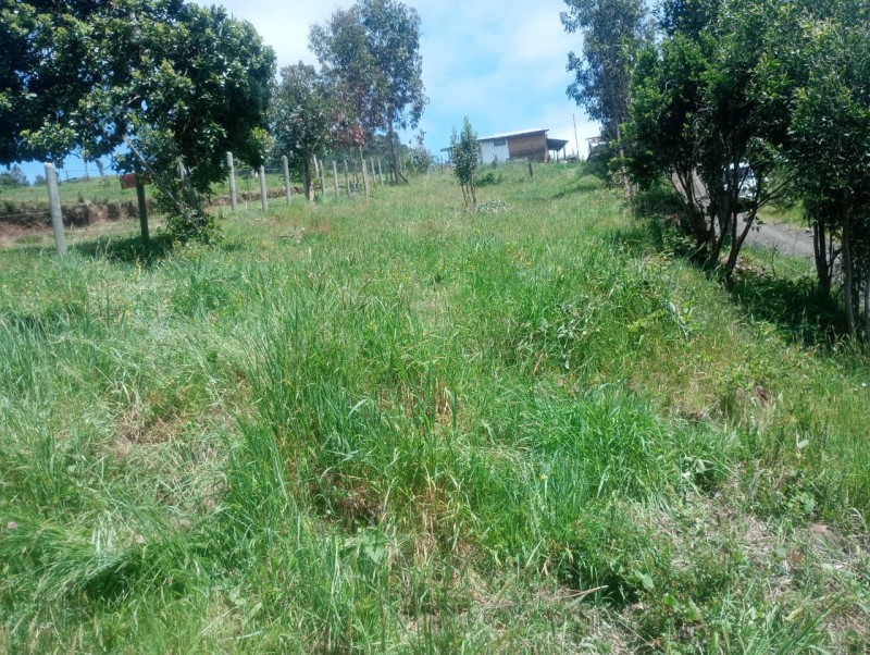 Terreno A 5 Minutos de Lago Ranco