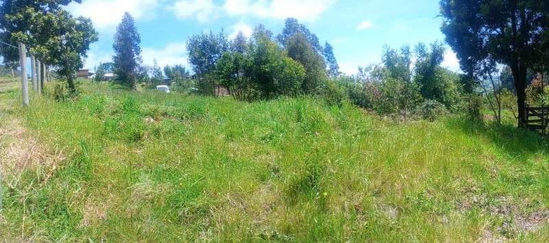 Terreno A 5 Minutos de Lago Ranco