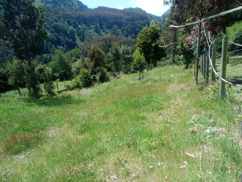 Terreno A 5 Minutos de Lago Ranco