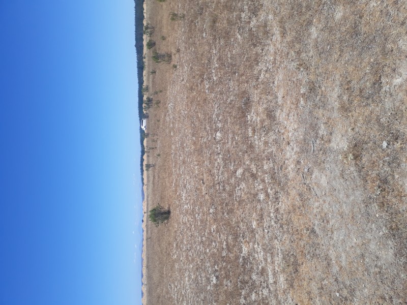 Fotografía de Vendo Parcela 5000Mt2 en Litueche