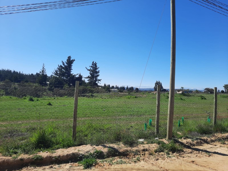 Vendo Parcela 5000Mt2 en Litueche