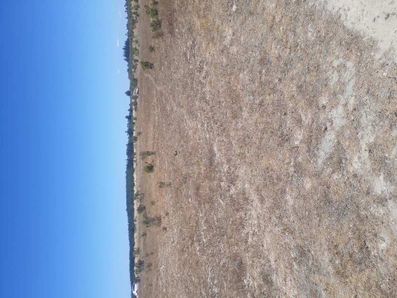 Vendo Parcela 5000Mt2 en Litueche