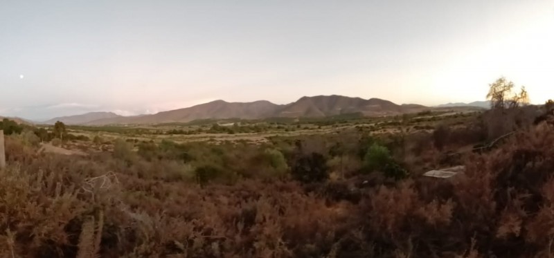 Oportunidad Única en Ovalle: Se Venden 2 Terrenos Contiguos