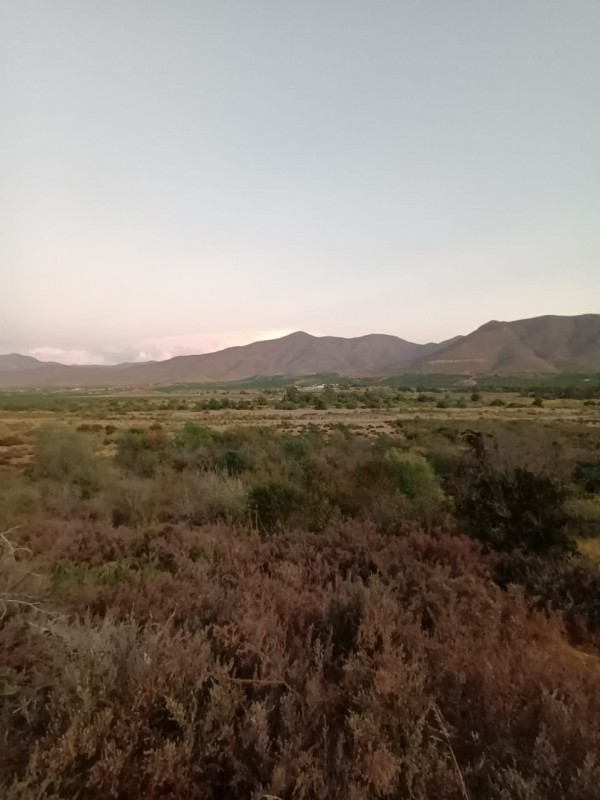 Oportunidad Única en Ovalle: Se Venden 2 Terrenos Contiguos