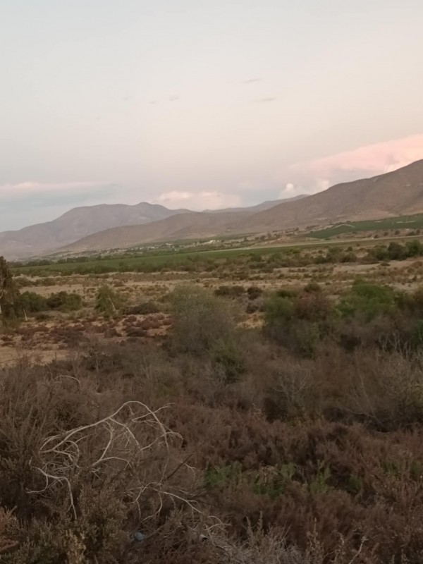Oportunidad Única en Ovalle: Se Venden 2 Terrenos Contiguos