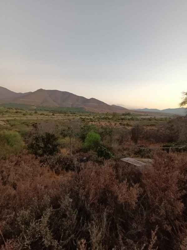 Oportunidad Única en Ovalle: Se Venden 2 Terrenos Contiguos