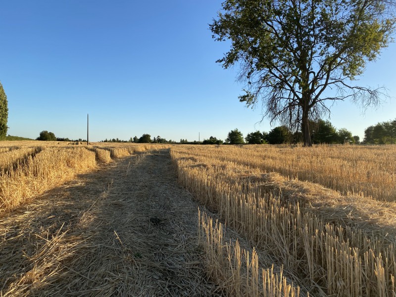 Oferta de Fin de Año, Terreno Agricola!! San Ignacio,chillan