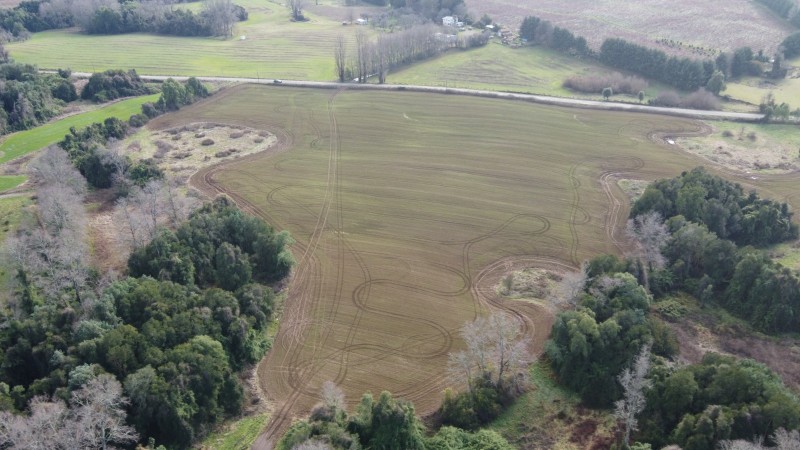 Se Vende Campo Agricola en Mafil A Pocos Metros de la Ruta 5
