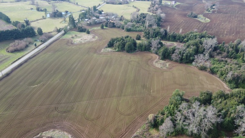 Se Vende Campo Agricola en Mafil A Pocos Metros de la Ruta 5