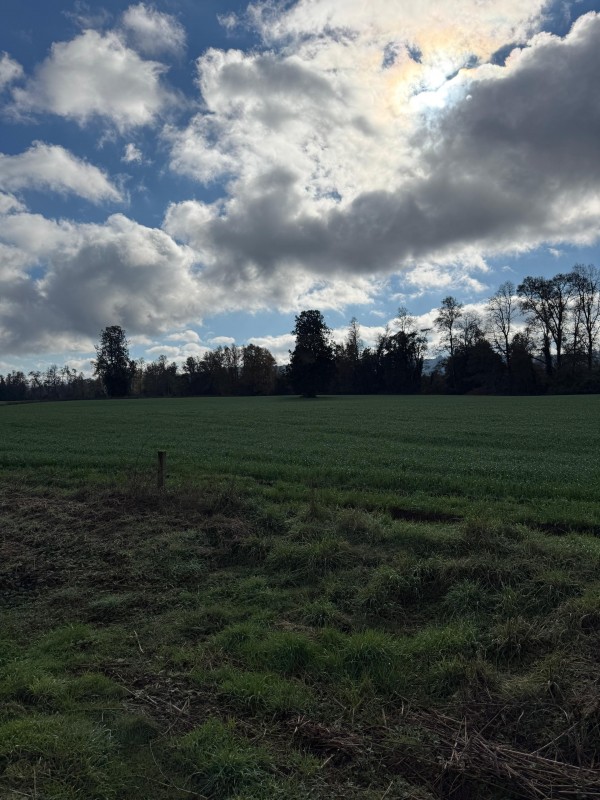 Se Vende Campo Agricola en Mafil A Pocos Metros de la Ruta 5