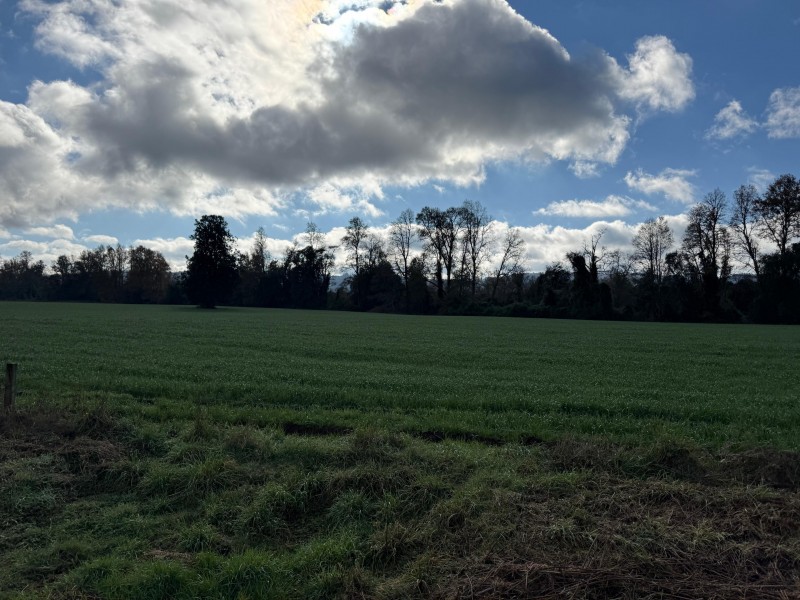 Se Vende Campo Agricola en Mafil A Pocos Metros de la Ruta 5