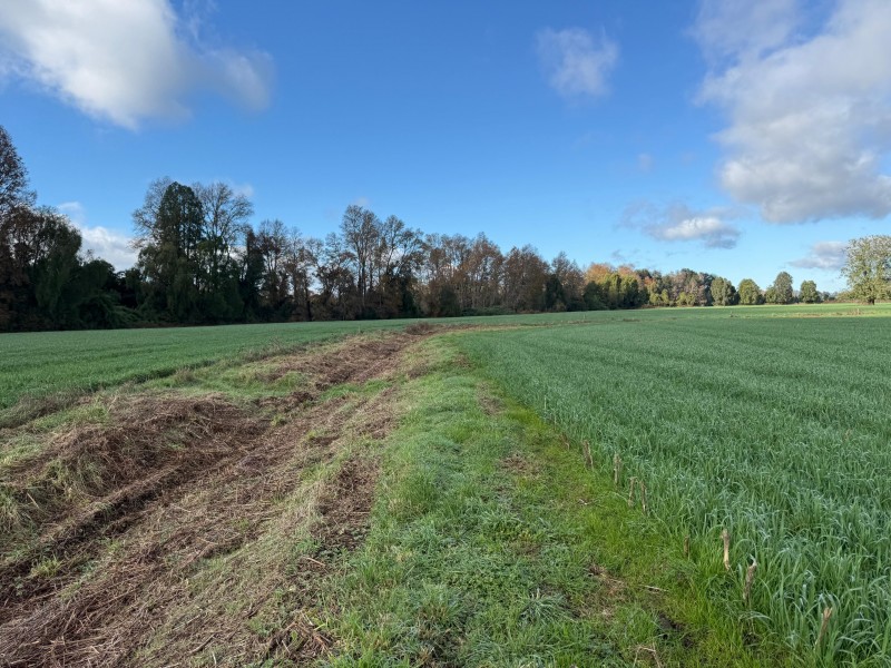 Se Vende Campo Agricola en Mafil A Pocos Metros de la Ruta 5