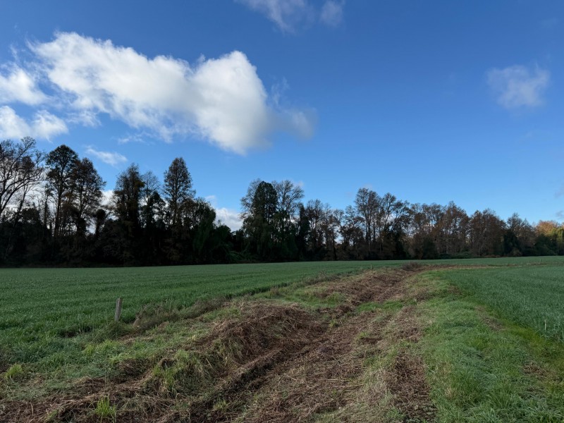 Se Vende Campo Agricola en Mafil A Pocos Metros de la Ruta 5