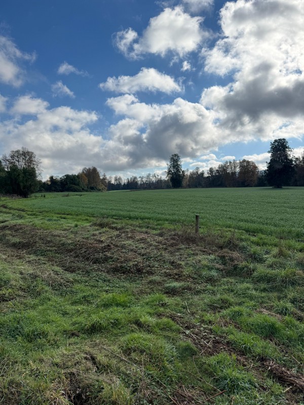 Se Vende Campo Agricola en Mafil A Pocos Metros de la Ruta 5
