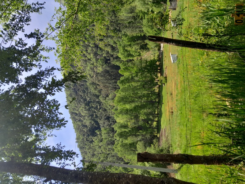 Hermoso Terreno en Venta en la Region del Bio Bio