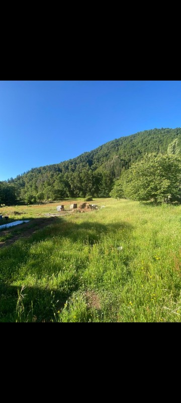 Hermoso Terreno en Venta en la Region del Bio Bio