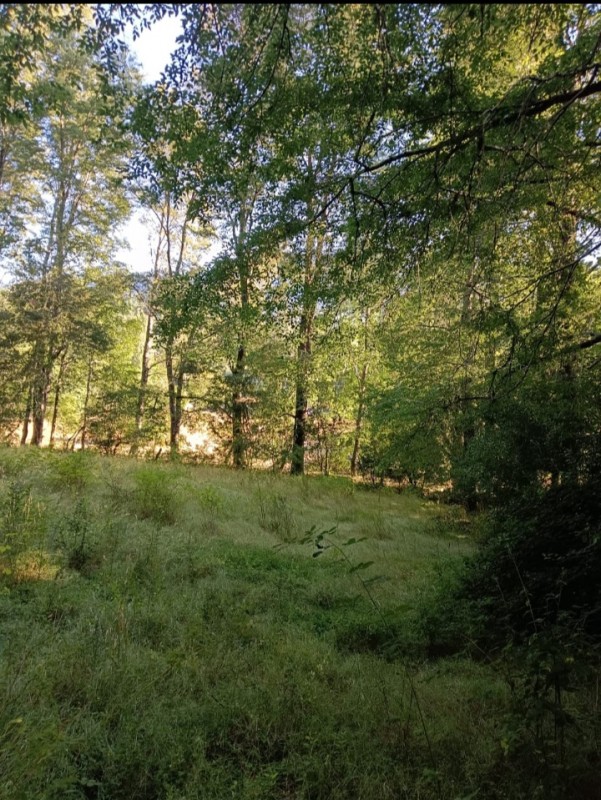 Hermoso Terreno en Venta en la Region del Bio Bio