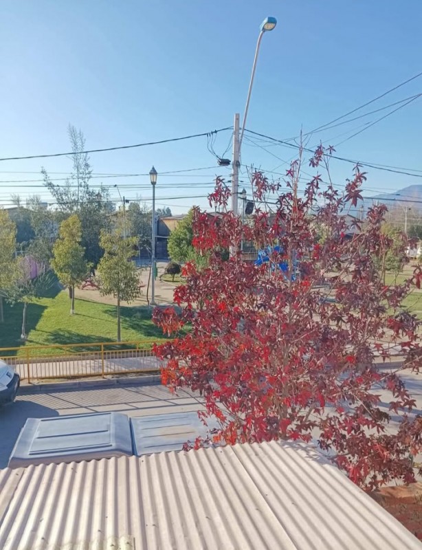 Casa Con 2 Dormitorios 1 Baño Avances Echo para Ampliación