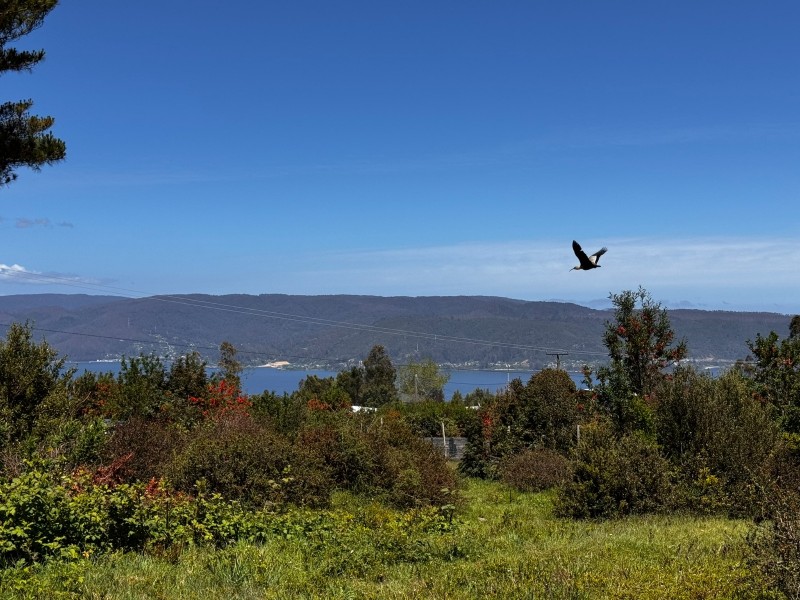 Venta Terreno en Playa San Ignacio (4 Sitios Por Separado)