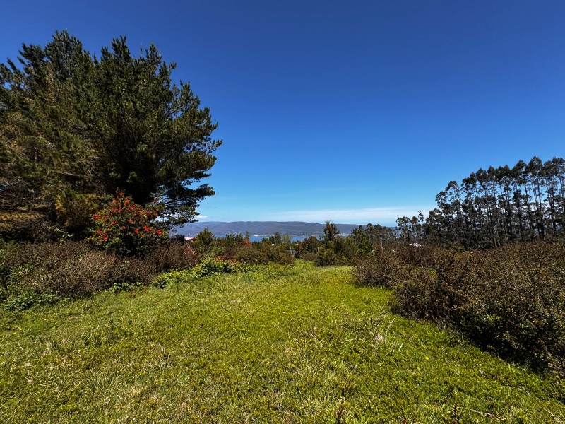 Venta Terreno en Playa San Ignacio (4 Sitios Por Separado)