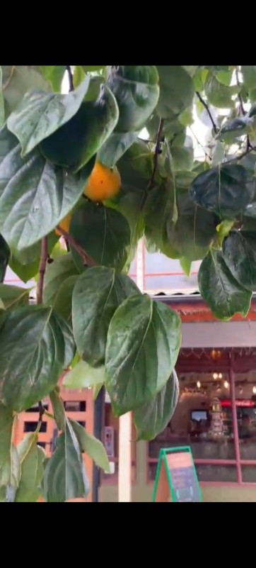 Restaurante Ubicado en la Comuna de Lautaro