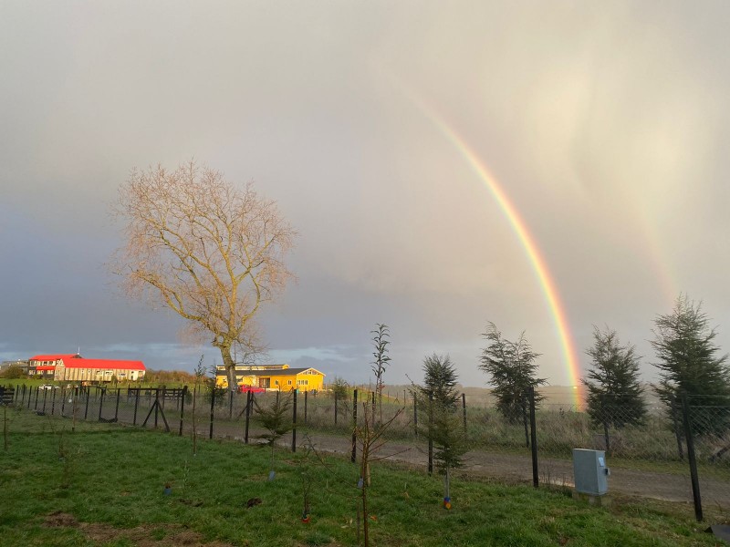 Parcela Con Casa Cerca Playa Frutillar