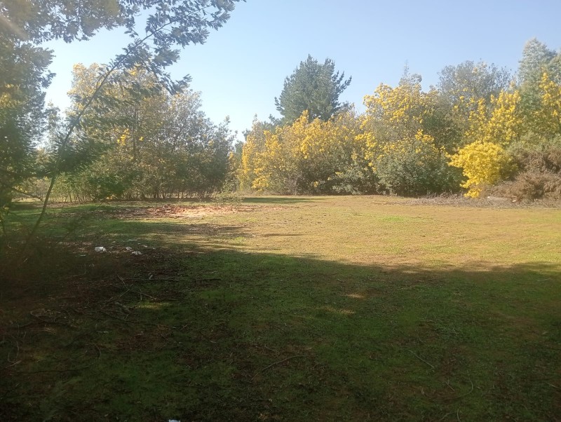 Se Vende Terreno + Casa en las Lomas de Putagán, Colbún