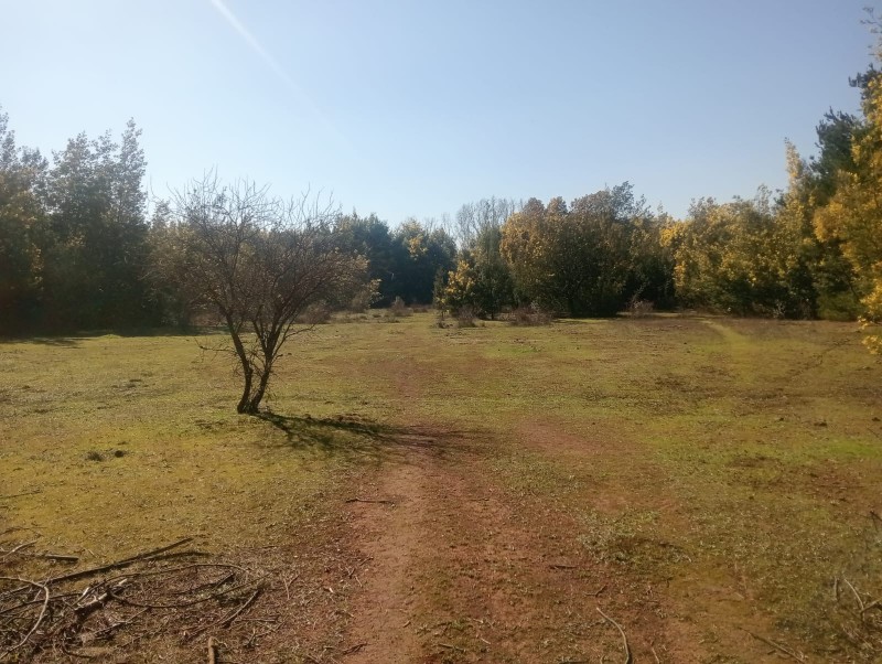 Se Vende Terreno + Casa en las Lomas de Putagán, Colbún